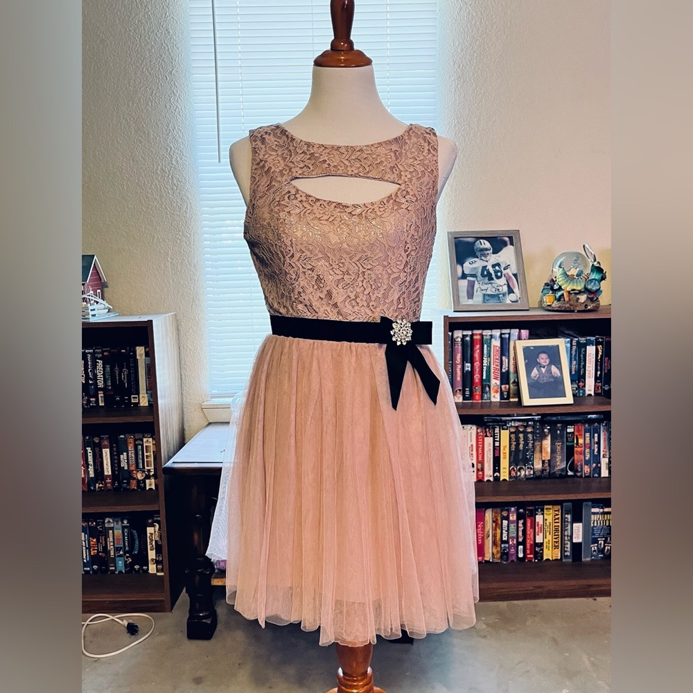 Wildcat Blush Pink Special Occasion Dress Medium